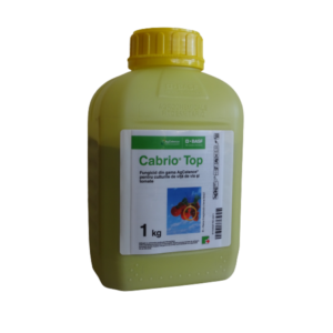 Fungicid CabrioTop